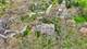 5N617 Forest Glen, St. Charles, IL 60175