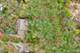 5N617 Forest Glen, St. Charles, IL 60175