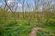 5N617 Forest Glen, St. Charles, IL 60175