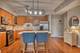 900 Lee Unit 202, Des Plaines, IL 60016