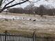 24963 Madison, Plainfield, IL 60544
