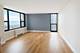 1850 N Clark Unit 2909, Chicago, IL 60614