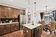 9245 Harlowe, Orland Park, IL 60462