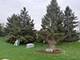 1702 Countryside, Shorewood, IL 60404