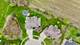 24264 Simo, Plainfield, IL 60586