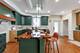 1323 Home, Berwyn, IL 60402
