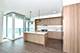 1000 S Michigan Unit 6705, Chicago, IL 60605