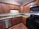 9864 Leland Unit 214, Schiller Park, IL 60176