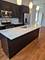 2309 N Leavitt Unit 3, Chicago, IL 60647