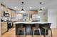 1073 W 108th, Chicago, IL 60643