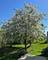 3295 Comstock, Mundelein, IL 60060
