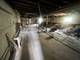 1005 N Springfield, Chicago, IL 60651
