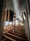 1005 N Springfield, Chicago, IL 60651