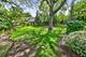 923 Park, River Forest, IL 60305