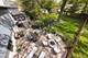 923 Park, River Forest, IL 60305