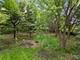 2 Faro, Oswego, IL 60543
