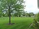 678 Cadillac, Romeoville, IL 60446