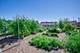 1024 Harris, Grayslake, IL 60030