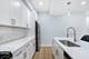 1713 S Jefferson, Chicago, IL 60616