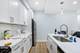 1713 S Jefferson, Chicago, IL 60616