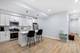 1713 S Jefferson, Chicago, IL 60616