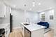 1713 S Jefferson, Chicago, IL 60616