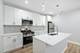1713 S Jefferson, Chicago, IL 60616