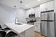 1713 S Jefferson, Chicago, IL 60616