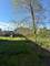 8205 W Ballard, Niles, IL 60714
