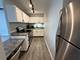 899 S Plymouth Unit 502, Chicago, IL 60605