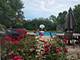 309 E Russet, Palatine, IL 60067