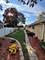 901 Brookline, Park Ridge, IL 60068