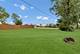 135 Westwood, Park Forest, IL 60466