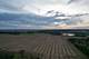 0000 N Rose Farm, Woodstock, IL 60098