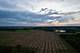 0000 N Rose Farm, Woodstock, IL 60098