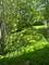 2030 Crestwood, Palatine, IL 60067