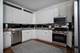 1438 N Wieland Unit 1, Chicago, IL 60610