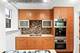 2600 N Lakeview Unit 9B, Chicago, IL 60614