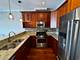 1419 W Chicago Unit 2, Chicago, IL 60642