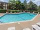 3030 Pheasant Creek Unit 307, Northbrook, IL 60062