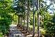 1177 Edgewood, Lake Forest, IL 60045