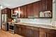 1115 S Plymouth Unit 201, Chicago, IL 60605