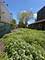 1923 S Jefferson, Chicago, IL 60616