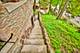 104 N Julian, Naperville, IL 60540