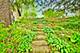 104 N Julian, Naperville, IL 60540