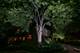 104 N Julian, Naperville, IL 60540