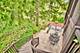 104 N Julian, Naperville, IL 60540