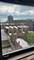 6700 S Crandon Unit 12C, Chicago, IL 60649