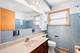 5236 N Pioneer, Chicago, IL 60656