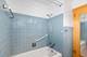 5236 N Pioneer, Chicago, IL 60656